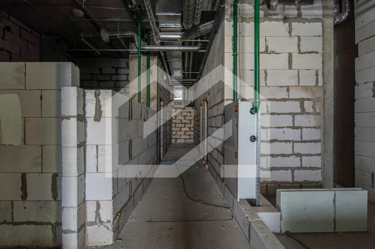 DSC02136-ARW_DxO_DeepPRIMEXD (1).jpg