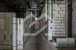 DSC02136-ARW_DxO_DeepPRIMEXD (1).jpg