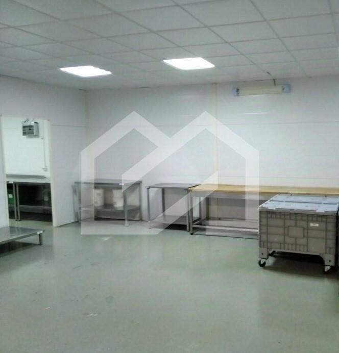 Изображение WhatsApp 2024-04-26 в 10.04.36_25df8cec.jpg