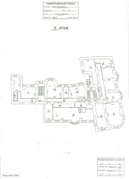 6 этаж пирог.png