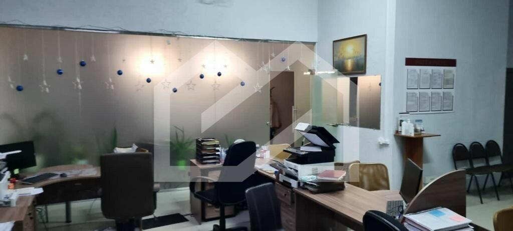 WhatsApp Image 2024-02-28 at 20.09.08.jpeg