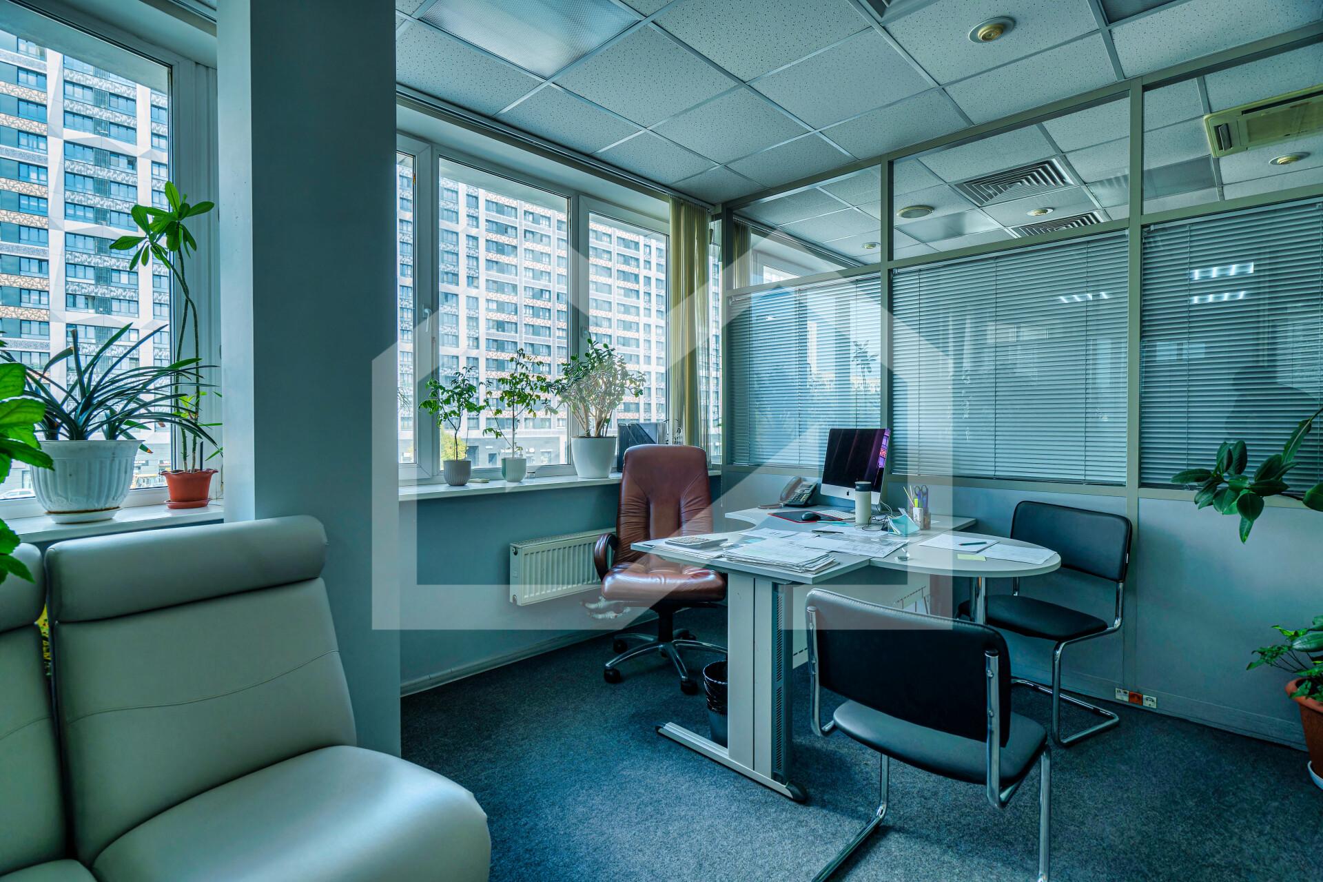 Копия DSC08868-ARW_DxO_DeepPRIMEXD.jpg