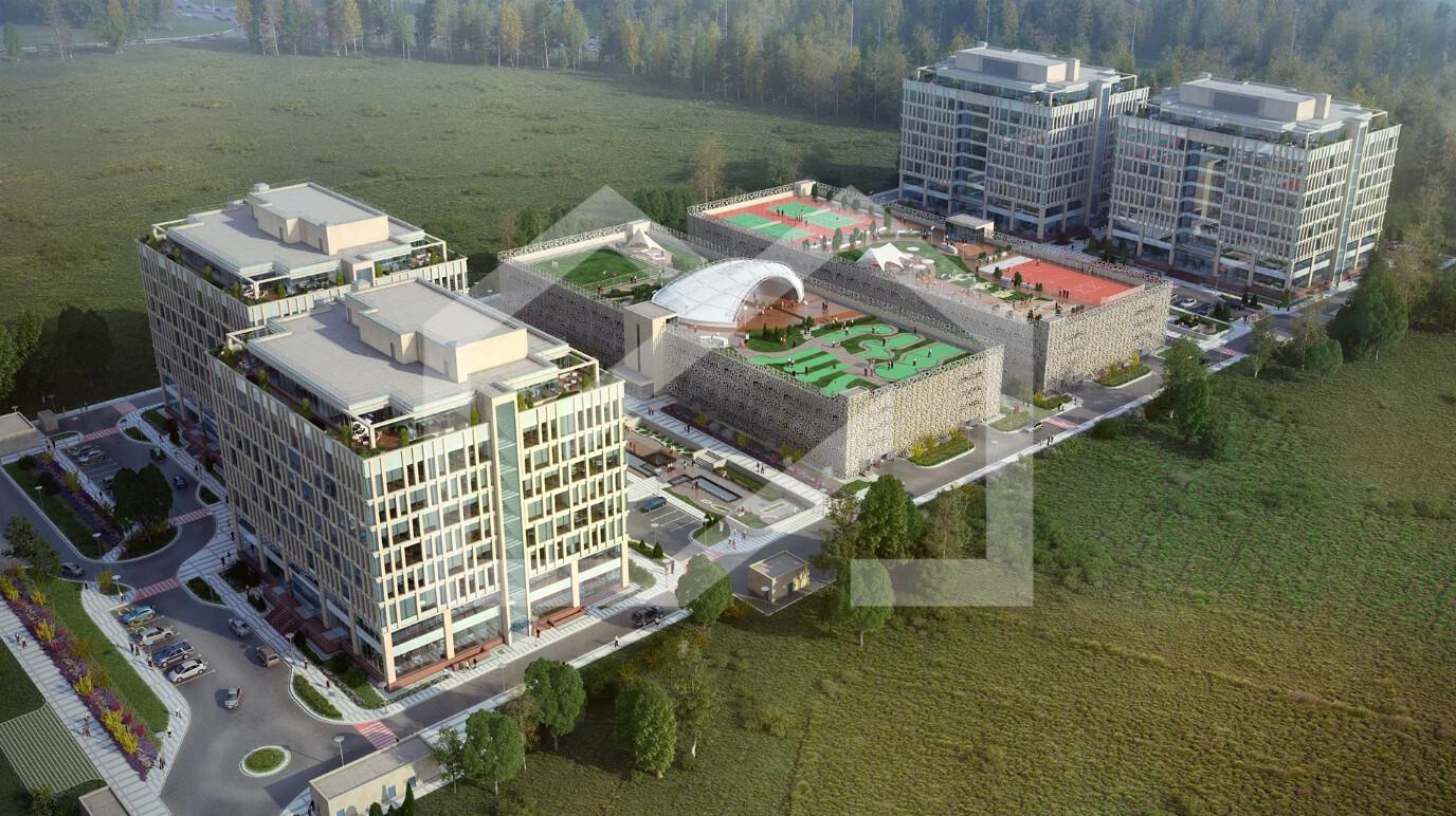 Без имени (1).png