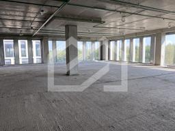 5382348033917837423 (1).jpg