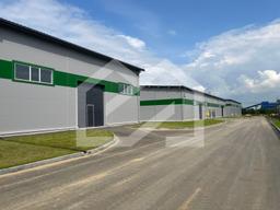 WhatsApp Image 2025-08-12 at 10.58.39.jpeg