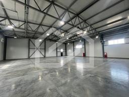 WhatsApp Image 2025-08-12 at 10.58.40.jpeg