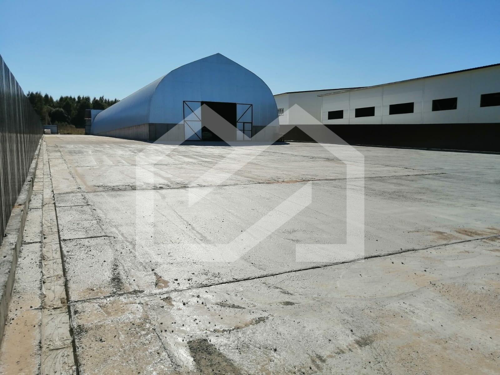 WhatsApp Image 2025-01-24 at 14.42.12 (2).jpeg