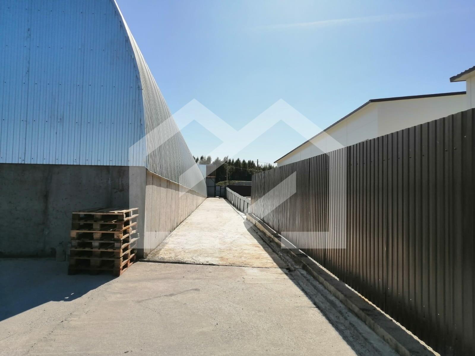 WhatsApp Image 2025-01-24 at 14.42.17.jpeg