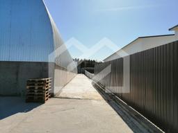 WhatsApp Image 2025-01-24 at 14.42.17.jpeg