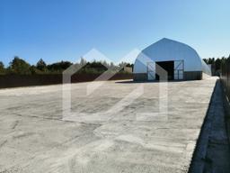 WhatsApp Image 2025-01-24 at 14.42.11.jpeg