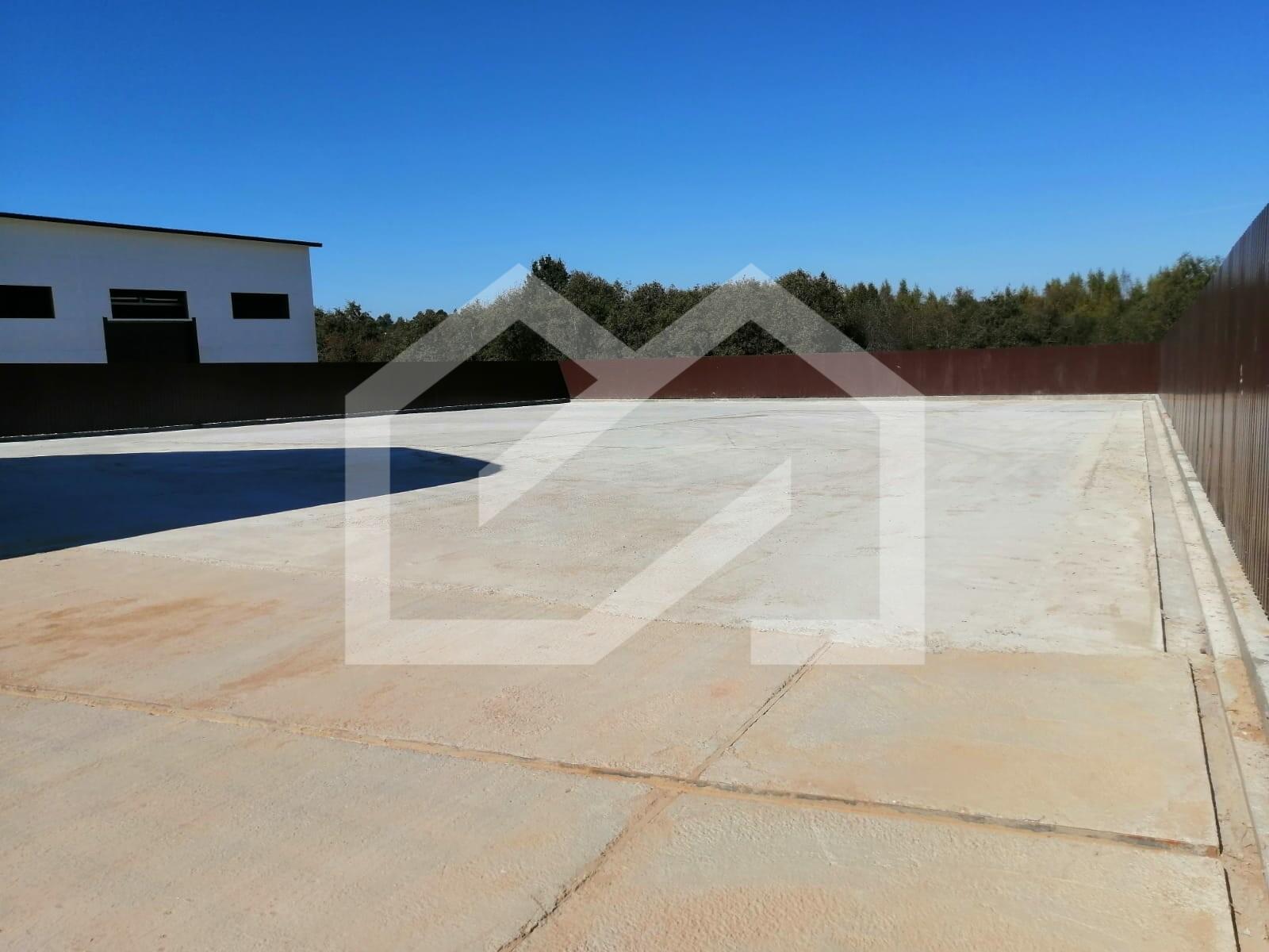 WhatsApp Image 2025-01-24 at 14.42.12 (4).jpeg