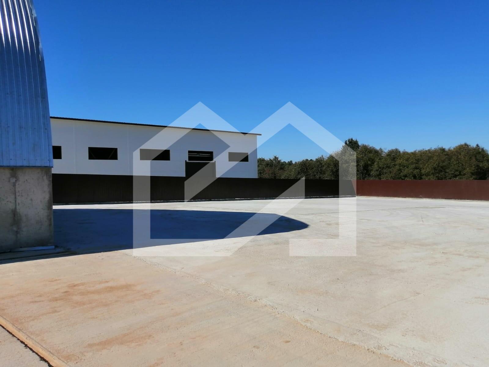 WhatsApp Image 2025-01-24 at 14.42.13.jpeg