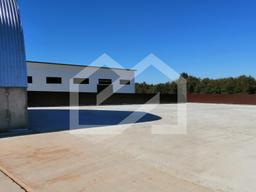 WhatsApp Image 2025-01-24 at 14.42.13.jpeg