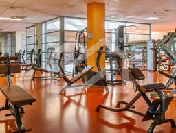 2 — копия (2).png