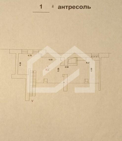 WhatsApp Image 2024-10-18 at 19.06.41.jpeg