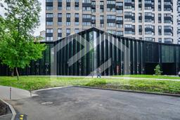 Копия BTW08466-Enhanced-NR.jpeg