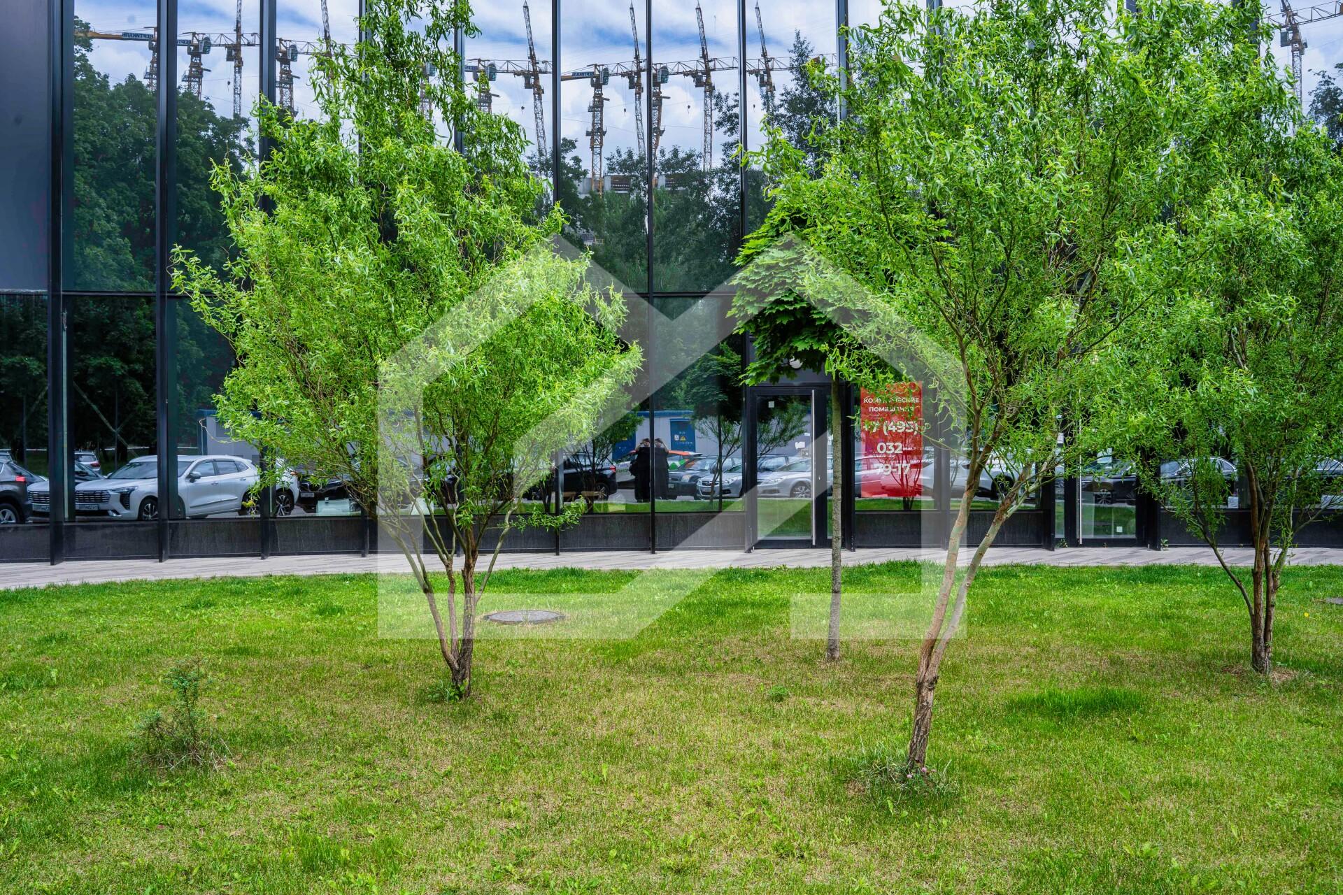 Копия BTW08440-Enhanced-NR.jpeg