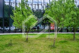 Копия BTW08440-Enhanced-NR.jpeg