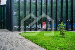 Копия BTW08463-Enhanced-NR.jpeg