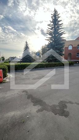 WhatsApp Image 2024-10-24 at 07.30.13 (17).jpeg