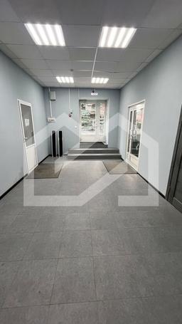 WhatsApp Image 2024-10-24 at 07.30.13.jpeg