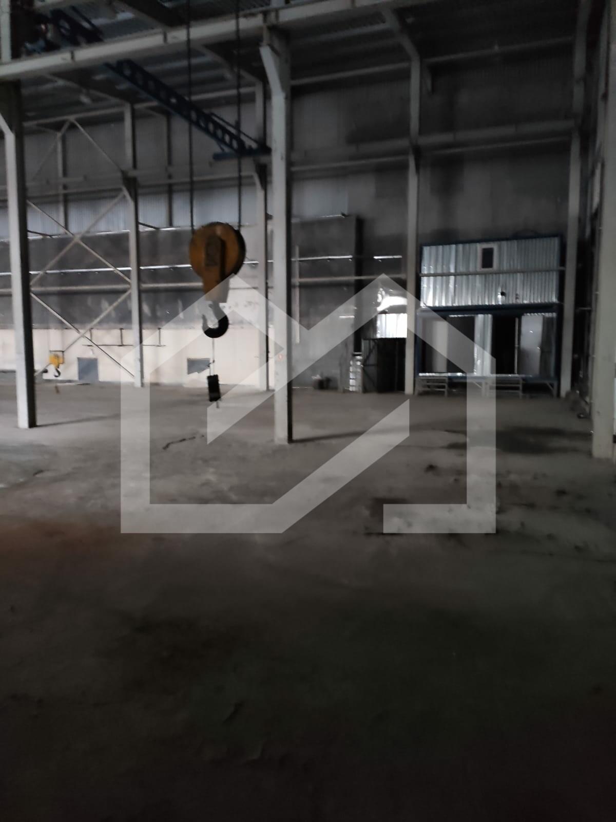 WhatsApp Image 2025-01-22 at 10.47.42 (2).jpeg