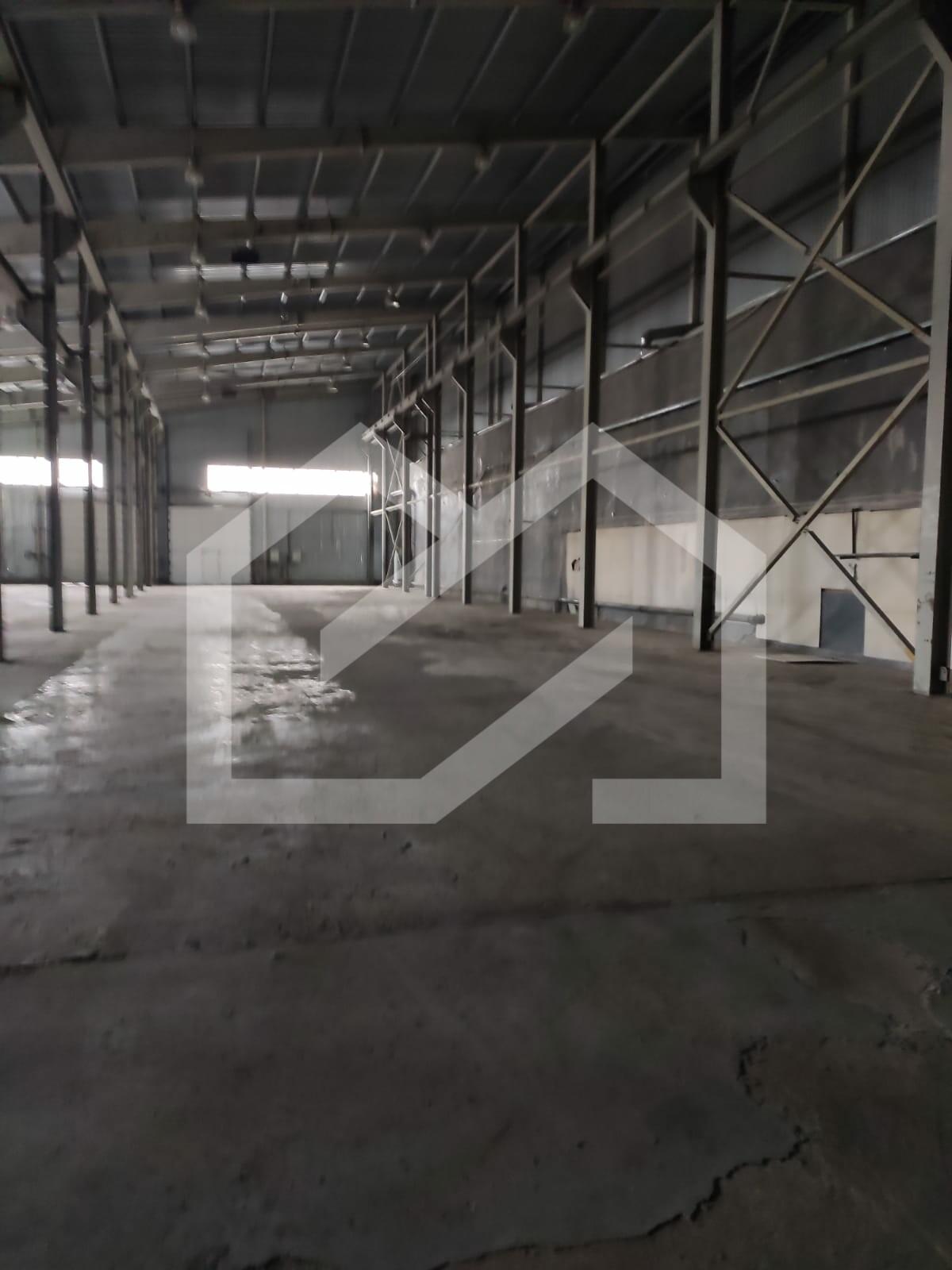 WhatsApp Image 2025-01-22 at 10.47.44.jpeg