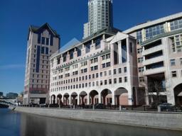 1111700623-6.jpg