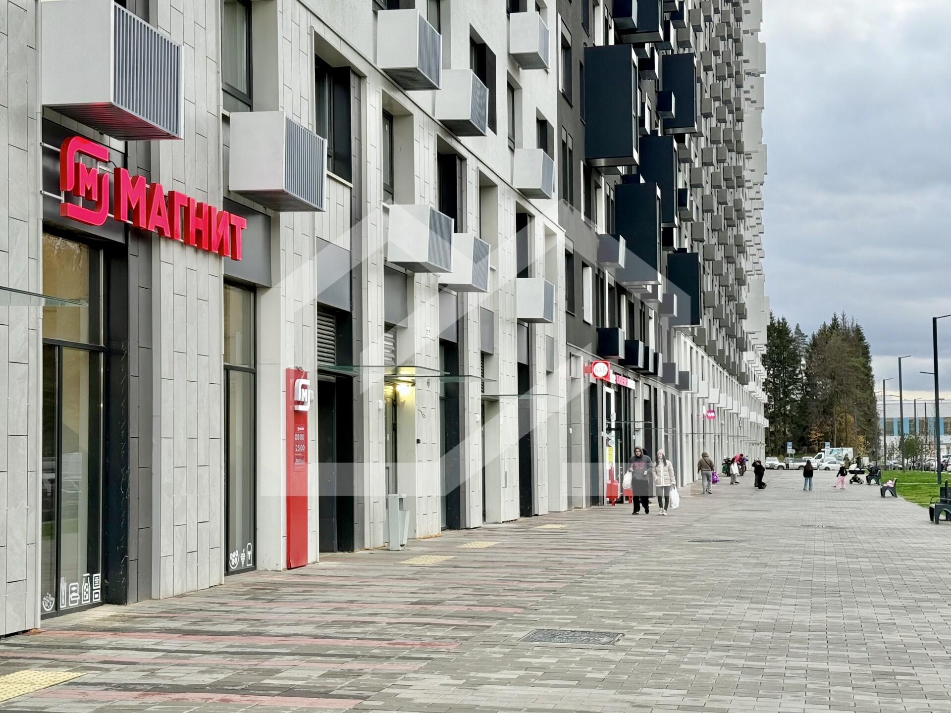 Копия IMG_2895.jpg