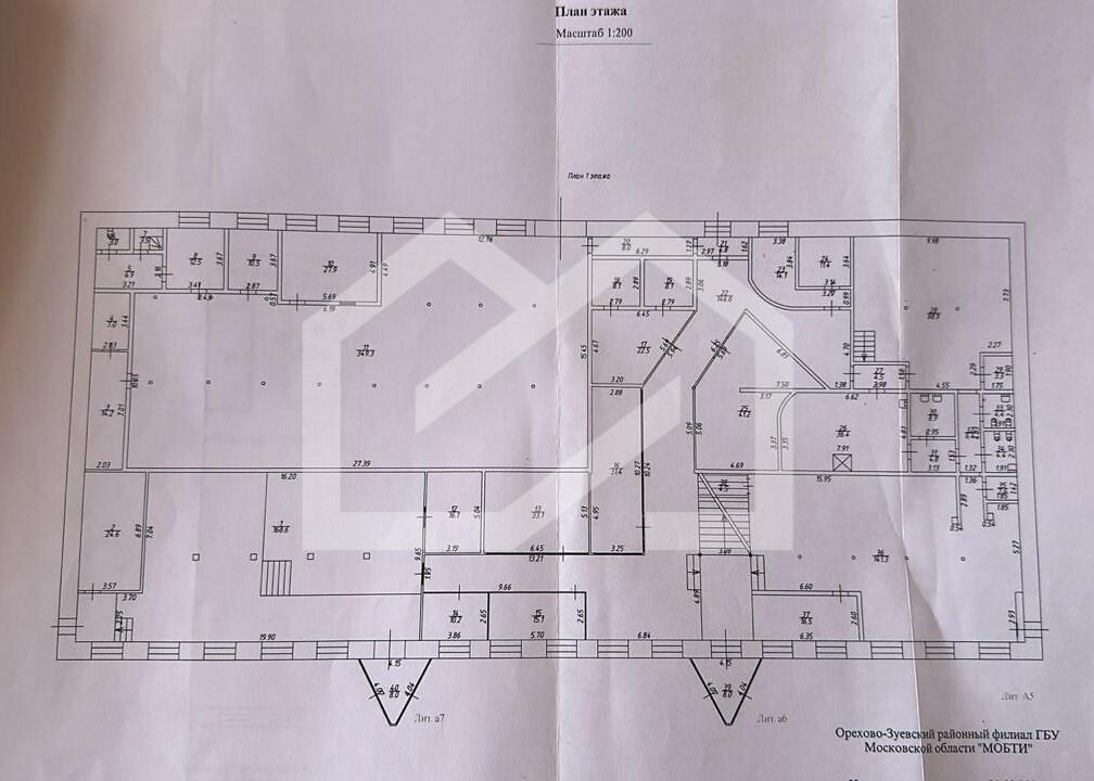 WhatsApp Image 2024-11-13 at 8.04.36 PM.jpeg