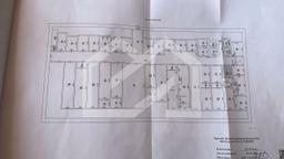 WhatsApp Image 2024-11-13 at 8.04.39 PM.jpeg