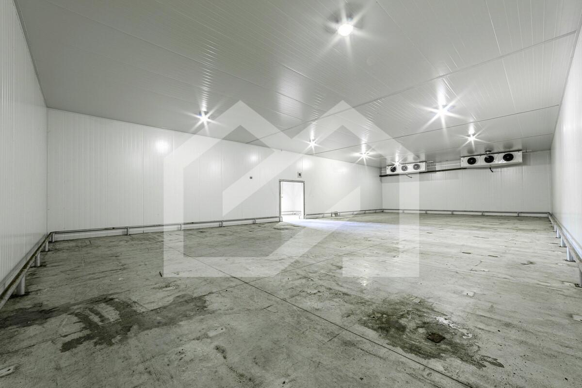 image-24-10-24-08-32 (8).jpeg