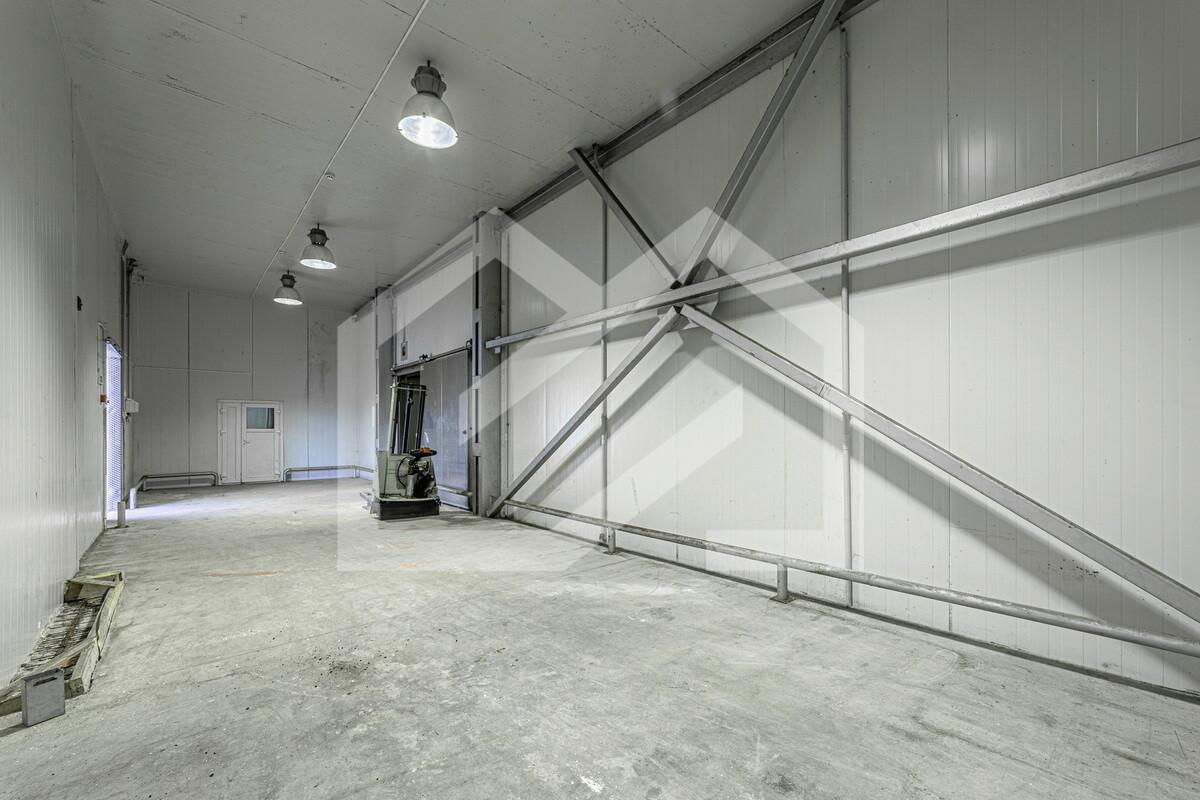 image-24-10-24-08-32 (6).jpeg