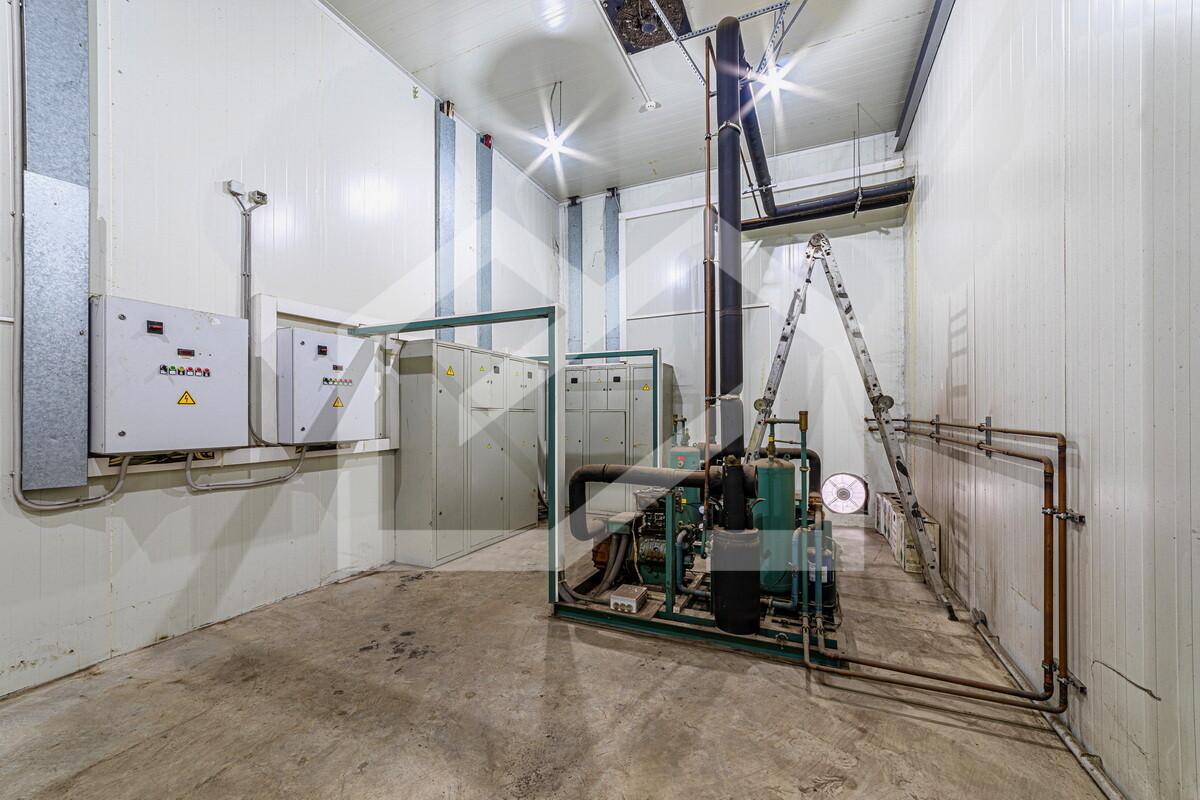 image-24-10-24-08-32 (3).jpeg