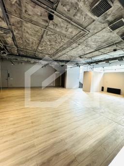 Лот 1. Цокольный этаж. 272,3 м2 (6).jpg