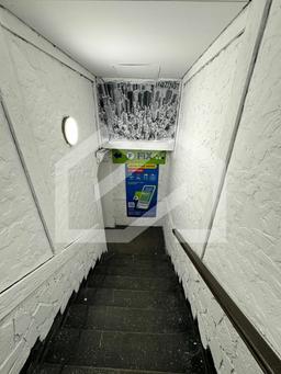 WhatsApp Image 2024-12-09 at 11.08.02.jpeg