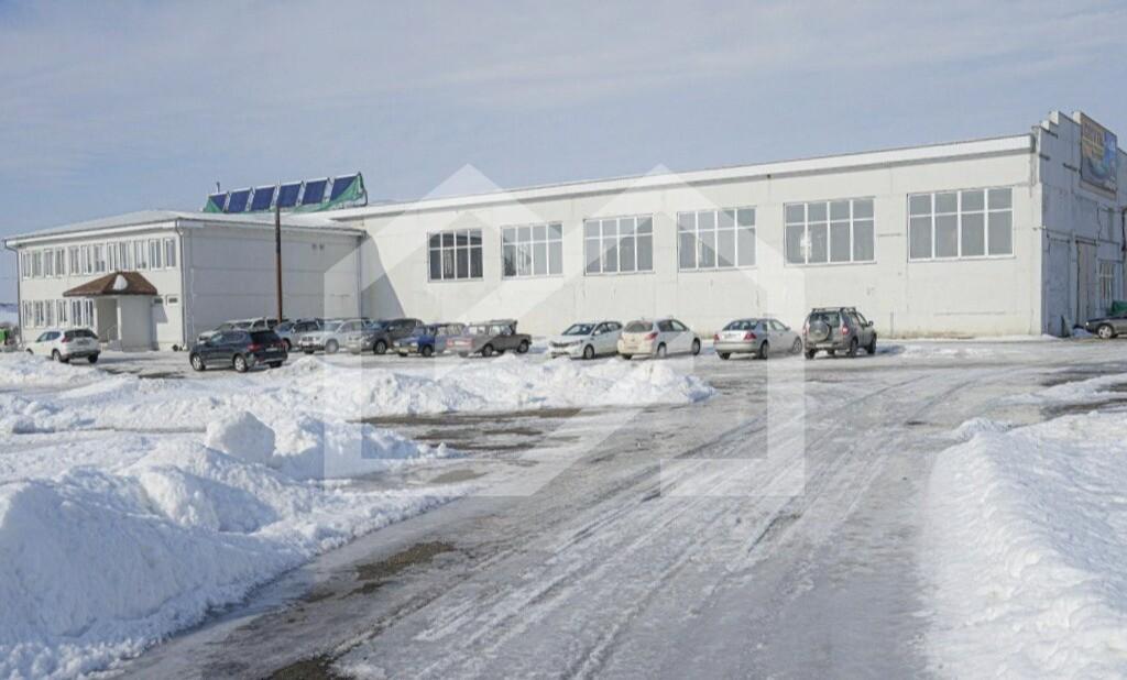 photo_2024-12-05_17-27-47 (2).jpg