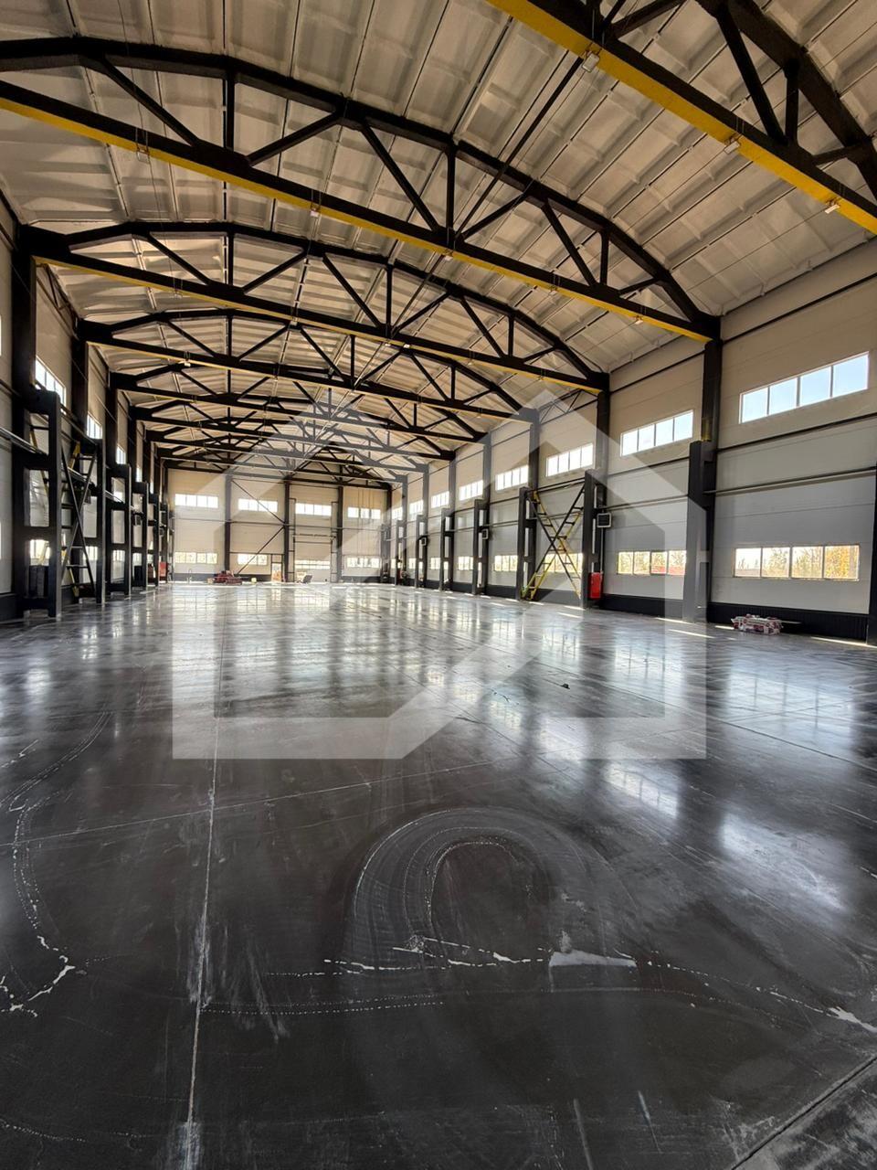 WhatsApp Image 2025-10-16 at 15.03.11.jpeg