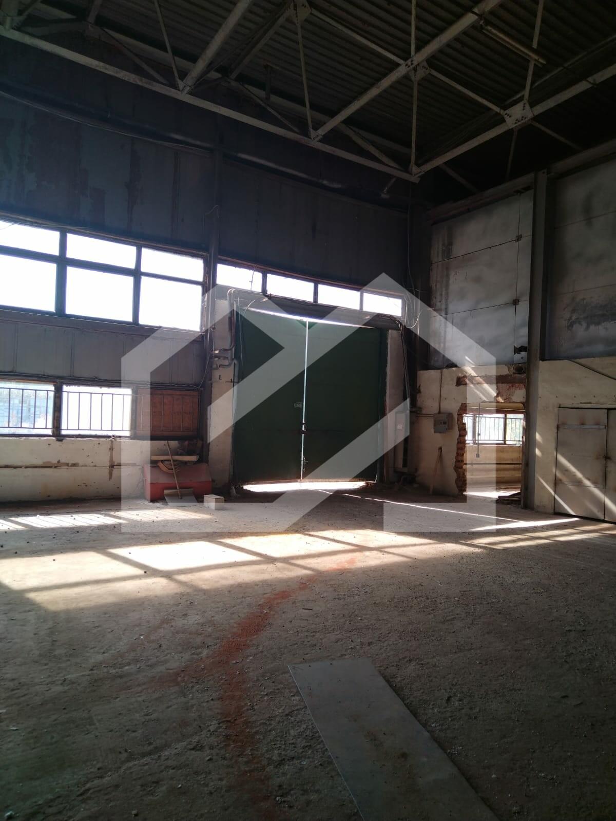 WhatsApp Image 2025-01-27 at 18.10.29 (2).jpeg