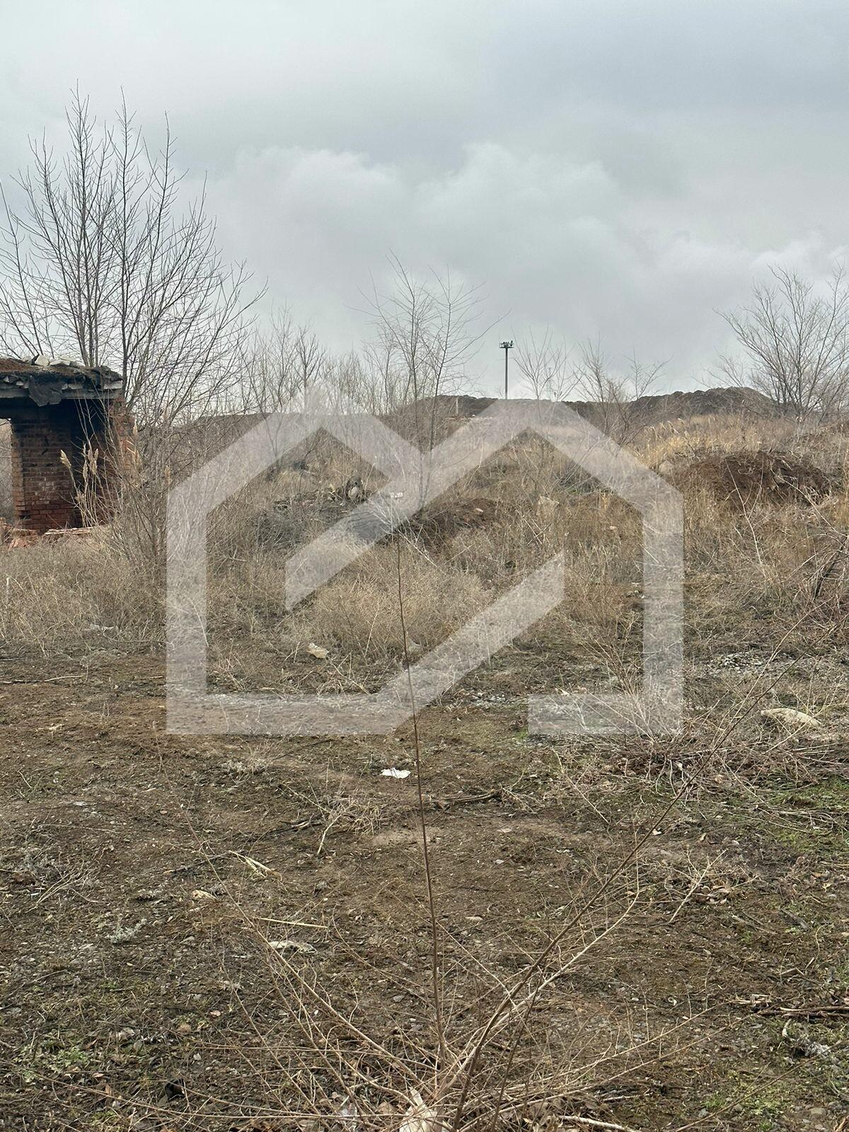 Изображение WhatsApp 2025-01-29 в 12.46.51_f435b212.jpg