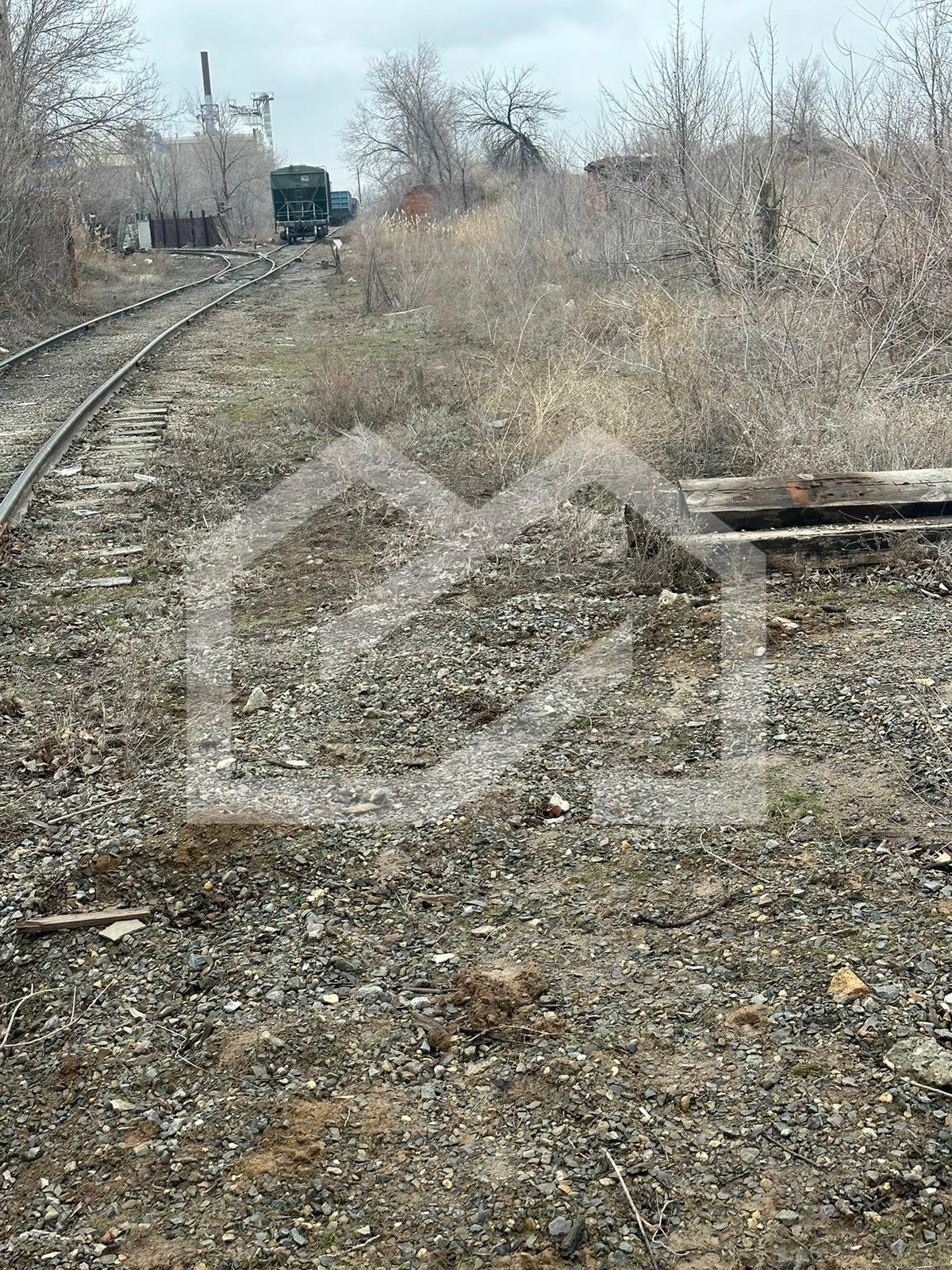 Изображение WhatsApp 2025-01-29 в 12.46.51_9bb7d729.jpg