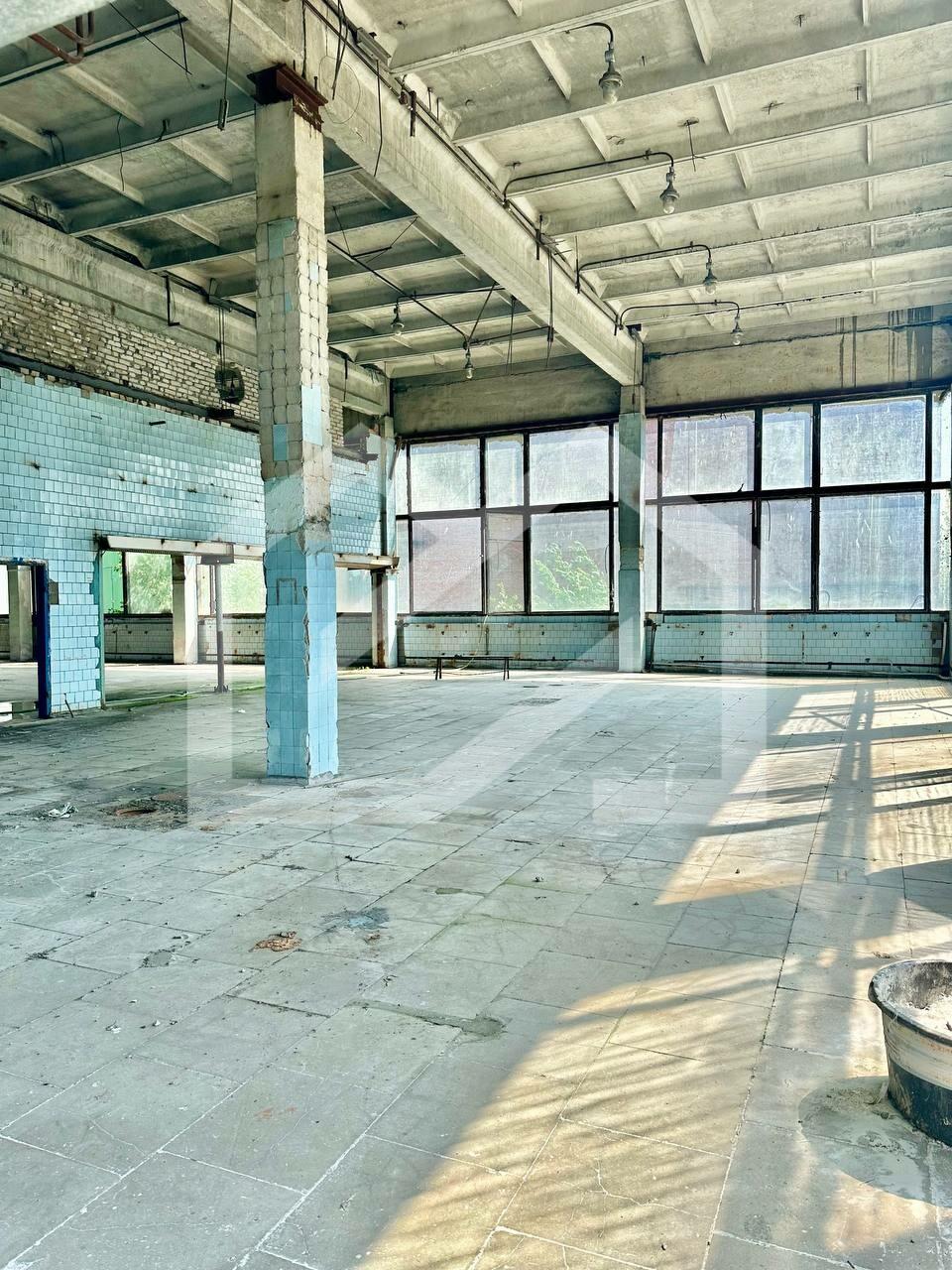 WhatsApp Image 2025-01-30 at 13.16.40 (1).jpeg