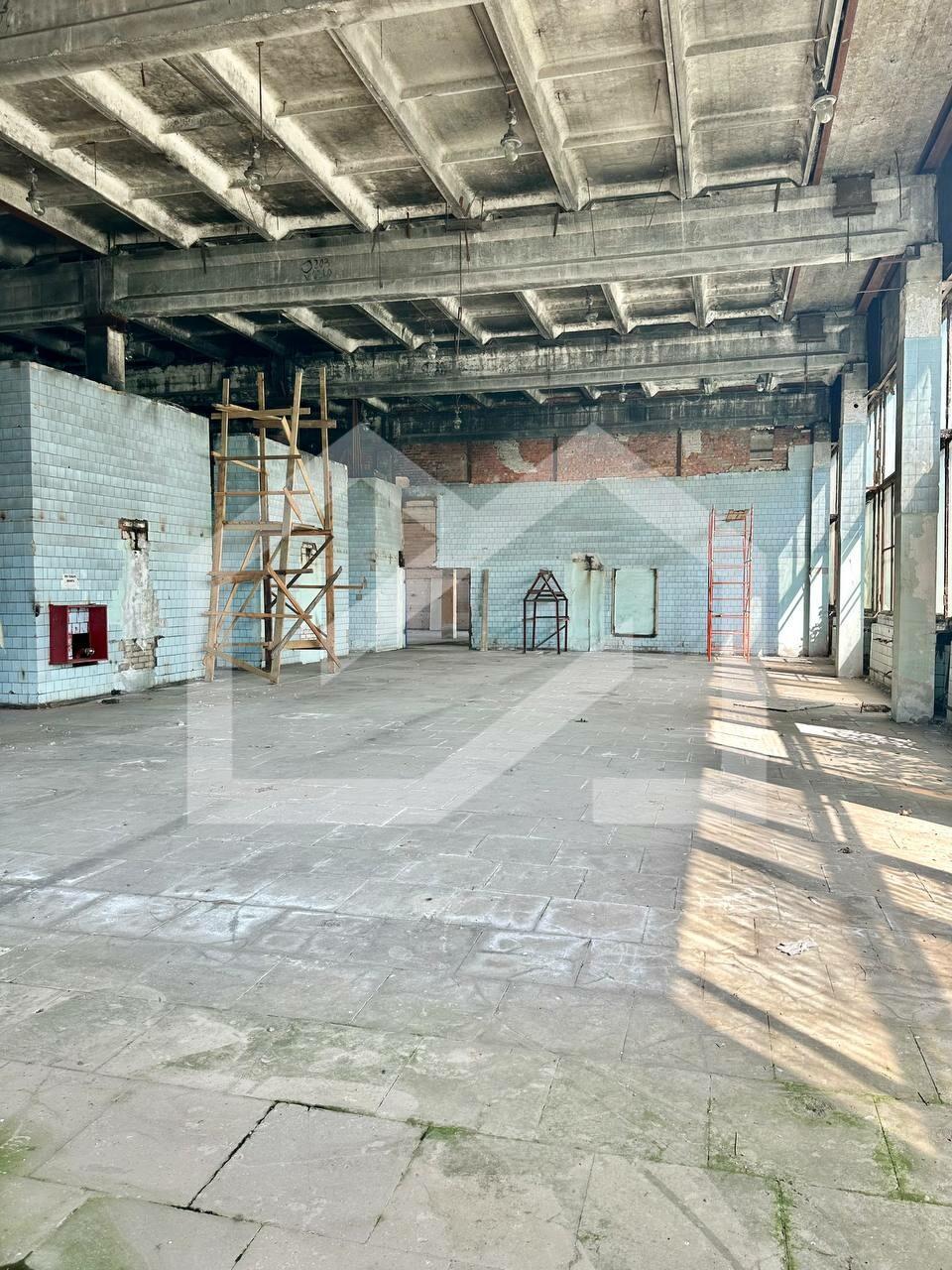 WhatsApp Image 2025-01-30 at 13.16.40.jpeg