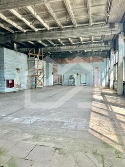 WhatsApp Image 2025-01-30 at 13.16.40.jpeg