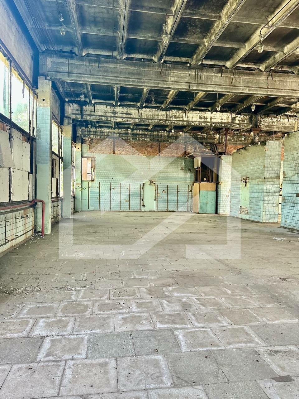 WhatsApp Image 2025-01-30 at 13.16.41 (2).jpeg