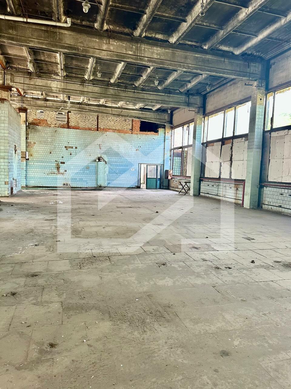 WhatsApp Image 2025-01-30 at 13.16.41 (3).jpeg