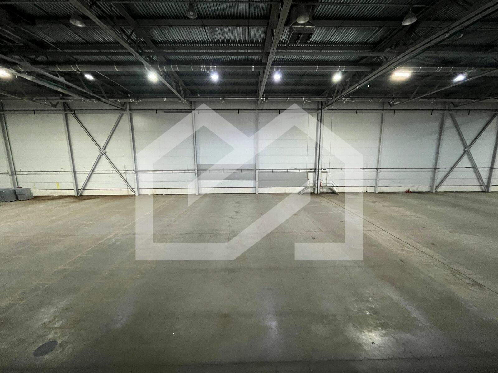 WhatsApp Image 2025-02-03 at 16.24.09 (1).jpeg