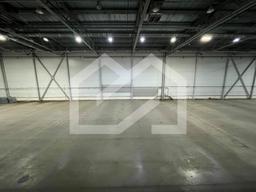 WhatsApp Image 2025-02-03 at 16.24.09 (1).jpeg