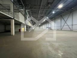 WhatsApp Image 2025-02-03 at 16.24.08.jpeg