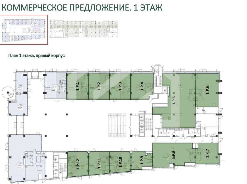 густав 3.png